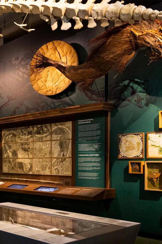 Musée de la civilisation